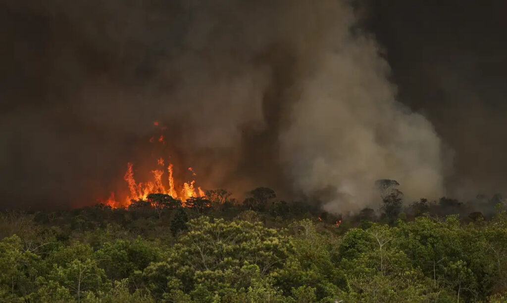 Incêndio em parque [Marcelo Camargo/ Agência Brasil]